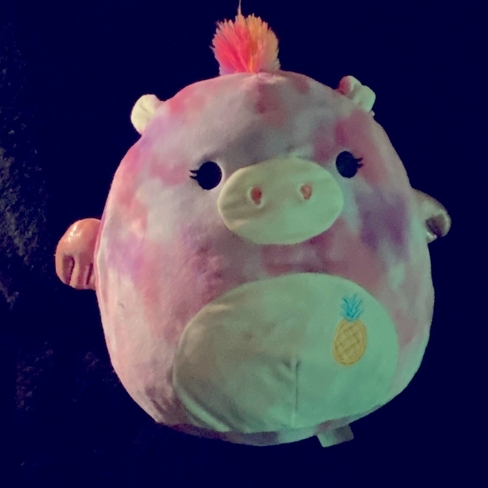 Pegasus squishmallows